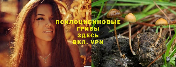 синтетический гашиш Абинск