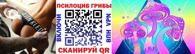 купить закладку  кракен tor  Псилоцибиновые грибы Psilocybe  Донецк 