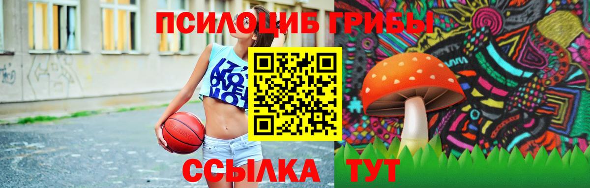 Галлюциногенные грибы мухоморы Донецк
