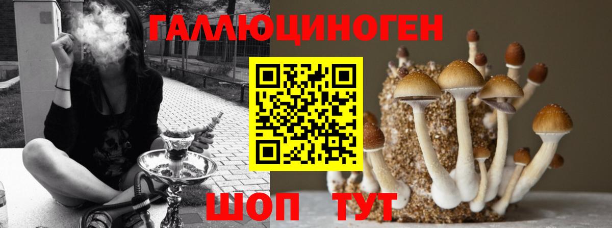 Галлюциногенные грибы прущие грибы  Вход с VPN  Донецк 